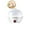 White, variant on Dvruxg Mini Electric Egg Cooker - 7-Egg Capacity with Automatic Shut Off & Dry Burn Protection | Stainless Steel Basket, One-Touch Operation for Hard/Soft Boiled Eggs