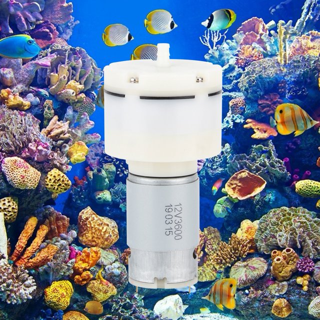 Vacuum Practical Air Pump, Fish Tank Air Pump, Fish Tank For Air Pump