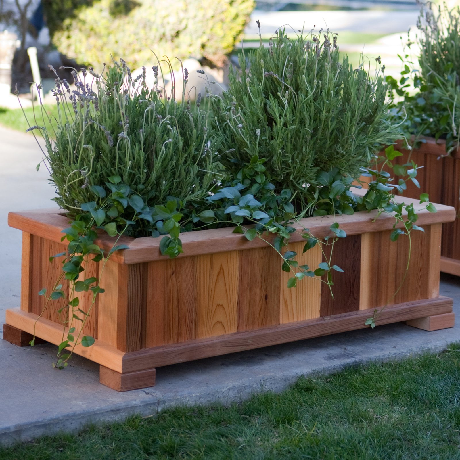 Wood Country Rectangle Cedar Boise Patio Planter Box