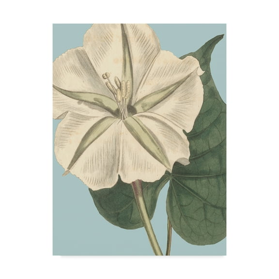 Trademark Fine Art 'Fresh Florals IV' Canvas Art by Vision Studio