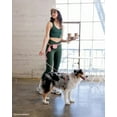 thumbnail image 3 of 4-in-1 Convertible Hands Free Cloud Dog Leash, 8.5-ft long, 5/8-in wide, 3 of 10