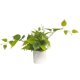 thumbnail image 2 of Wosthever Planta Artificial Verde De Bajo Mantenimiento Y Fácil De Cuidar Para Espacios Interiores Y Exteriores Elegante Decoración, 2 of 6