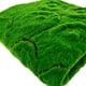 thumbnail image 1 of Zhuge Césped artificial de simulación, césped de musgo, sin mantenimiento, para pared, plantas verdes, césped para el hogar, decoración de paisaje de jardín (05,100 x 100 cm), 1 of 5
