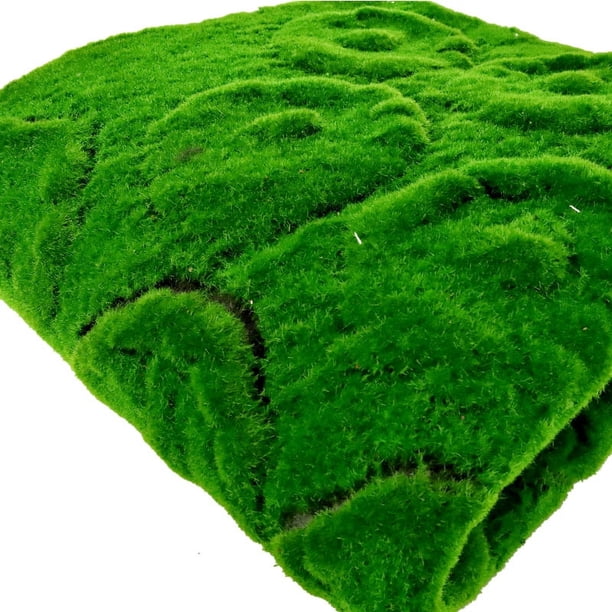 Zhuge Césped artificial de simulación, césped de musgo, sin mantenimiento, para pared, plantas verdes, césped para el hogar, decoración de paisaje de jardín (05,100 x 100 cm)