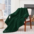 thumbnail image 1 of LNGOOR Heated Blanket Electric Throw 50”x60” Soft Double Sided Sherpa Heating Blanket With 8 Fast Heating Levels & 1-8H Auto-Off  Over-Heat Protection  Machine Washable  ETL Certification, 1 of 7