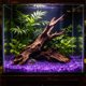 thumbnail image 5 of Pequeñas piedras romboidales que brillan en la oscuridad para sustrato de jardín y acuario: piedras fluorescentes luminosas para decoración nocturna, paisajismo acuático y detalles de caminos., 5 of 6