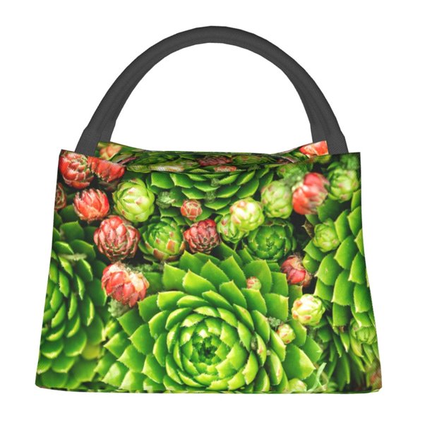 Easygdp Cactus And Succulents Bolsa de Almuerzo Insulada Reutilizable, Bolsa de Mano y Bandolera para Oficina, Trabajo, Viajes