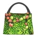 thumbnail image 1 of Easygdp Cactus And Succulents Bolsa de Almuerzo Insulada Reutilizable, Bolsa de Mano y Bandolera para Oficina, Trabajo, Viajes, 1 of 6