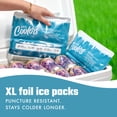 thumbnail image 3 of Paquetes de Hielo Fit & Fresh Cool Coolers de Alto Rendimiento 2PK, 3 of 8