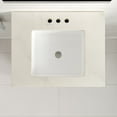 thumbnail image 2 of Eviva Cambridge 24 in. Gray Single Sink Bath Vanity with Bianco Bella Quartz Top and Undermount Porcelain Sink, 2 of 11