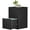 Black, variant on Marcree Wooden File Cabinet 2 Drawer, Wood Vertical Filing Cabinet with Hanging Bars for Letter Size, Wooden Small File Cabinets for Home Office, Black, Assemble Required