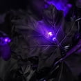 thumbnail image 5 of 5.56 Ft Artificial Black Maple Leaf Garland with Light,Halloween Decoration Autumn Leaf Lighted Garland for Home Stair Railing Fireplace, 5 of 7