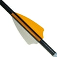 thumbnail image 6 of (2 pack) Allen Company 26" Fearless G2 Youth Target Fiberglass Arrow, Black, 6 of 11