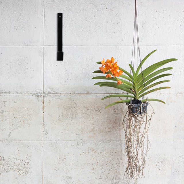 OULII 1Par Gancho De Para Colgar Plantas Con Delicado Y Resistente