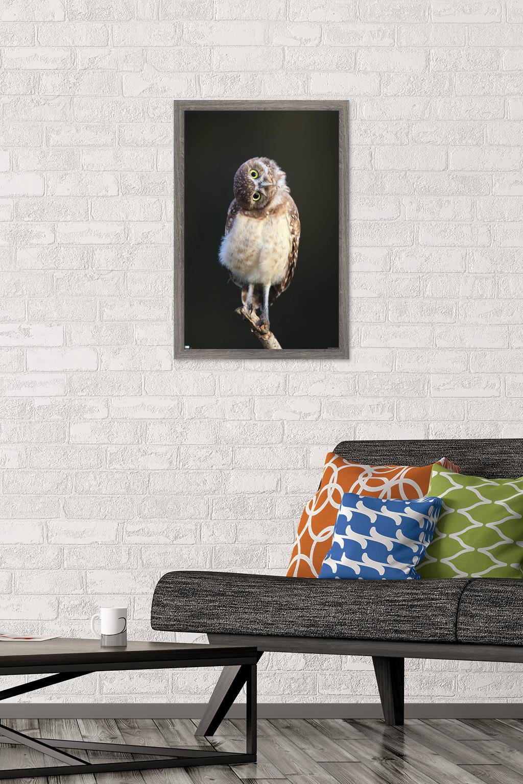 Curious Burrowing Owlet Wall Poster, 14.725" x 22.375" Framed