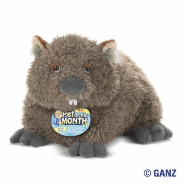 webkinz wombat may pet of the month with trading cards