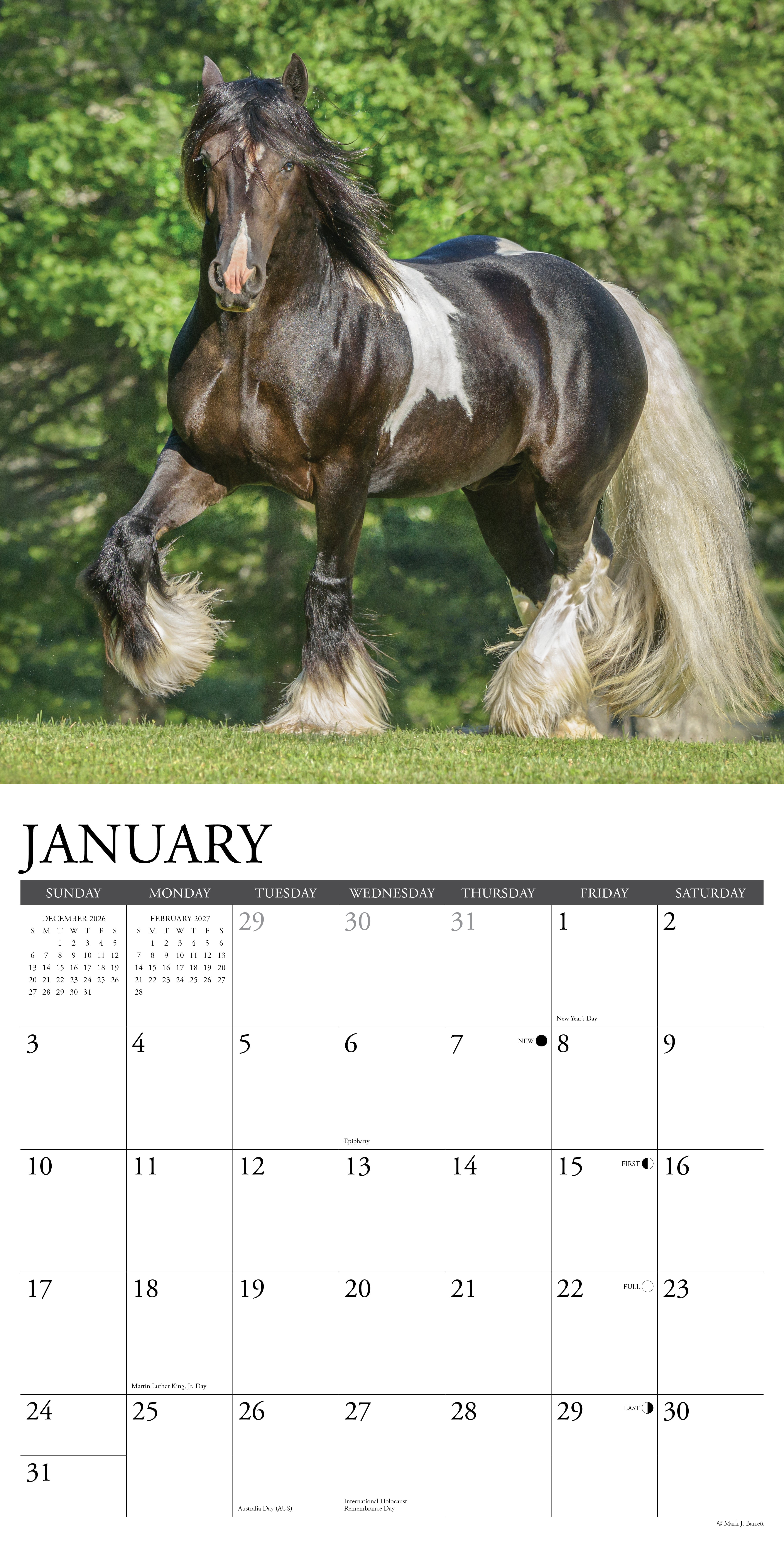 Willow Creek Press, Gypsy Vanner Horse 2027 Wall Calendar