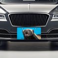 thumbnail image 3 of Honey Badger Face Blue Background Metal Novelty License Plate, 3 of 7