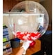 thumbnail image 2 of Globos de burbujas Aredpoook, 20 cm, TPU transparente, 10 unidades, 2 of 7