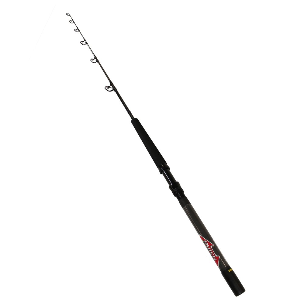 Saltiga G Saltwater Casting Rod