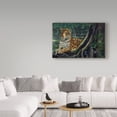 thumbnail image 3 of Trademark Fine Art 'Jaguar By The River' Canvas Art by Harro Maass, 3 of 3