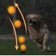 thumbnail image 2 of LaRoo LED Dog Ball, Silicon Glowing Dog Toy Ball at Night with USB Rechargeable, Water Resistant Light Up Interactive Dog Tennis Balls for Outdoor Playing, 2 of 5