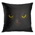 thumbnail image 1 of RYLABLUE Monstres Composition Réaliste Félin Yeux et Nez Effrayant Chats Jeter Taie d'Oreiller Housse de Coussin, 1 of 1