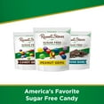 thumbnail image 4 of Russell Stover Sugar Free Candy Coated Chocolate Peanuts - 7.5 oz Packaging may vary, 4 of 4