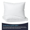 thumbnail image 2 of Porch & Den Home Sweet Home Dream 300 Thread Count Cotton Hypoallergenic Gusset Bed Pillows, 2 of 3