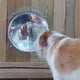 thumbnail image 5 of Acrílico PET BURBUCE Ventana Transparente Puerta Vista Vista Cúpula Césped Césped Cerrojo Backyard Frente Porche Animales grandes Accesorios Blanco Edge Eigraketly PT003570-02B, 5 of 7