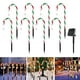 thumbnail image 1 of El jardín solar de la luz del de la decoración de la Navidad enciende la altura los 48cm con 8 luces Estilo E Cola Luces de bastón de caramelo, 1 of 8