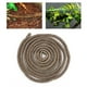 thumbnail image 5 of Rama trepadora de reptiles artificiales, selva flexible, decoración de hábitat de vid larga de ratán de 9,84 pies (S), 5 of 10