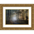 thumbnail image 1 of Maier, Norbert 24x17 Gold Ornate Wood Framed with Double Matting Museum Art Print Titled - autumn symphony, 1 of 4