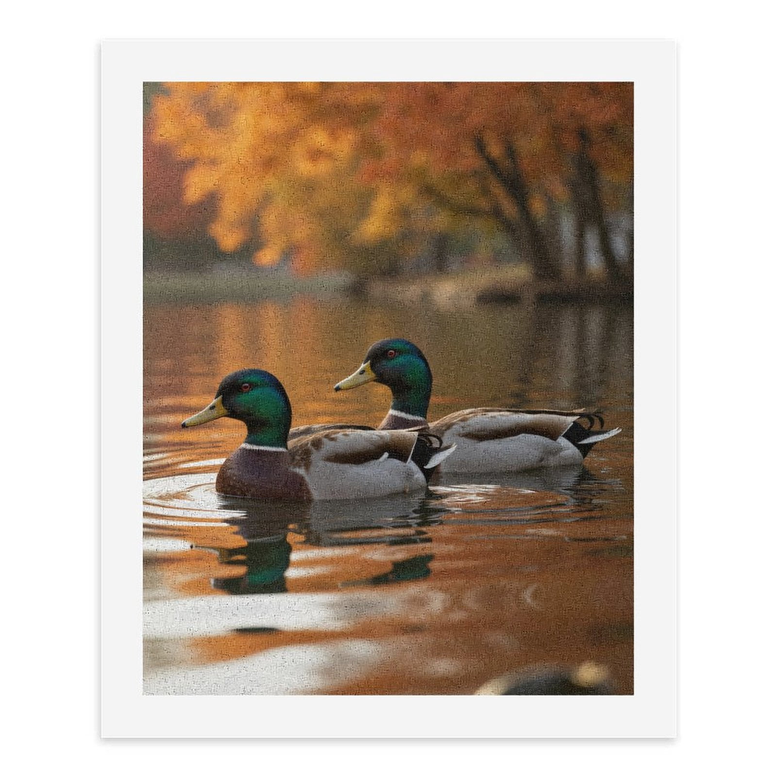 Paint By Numbers Kit for Adults Beginner - DIY Autumn Reflection Lake Ducks Tranquility Canvas Painting Kits for Adults, Frameless Paint By Number for Adults for Home Wall Decor 16x20 Inch