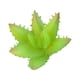 thumbnail image 1 of Mini plantas simuladas suculentas Matsuzay 10 piezas Flores artificiales Tipo 4, 1 of 6
