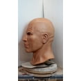 thumbnail image 2 of Trick Or Treat Studios WWE: The Rock Halloween Costume Mask, 2 of 4