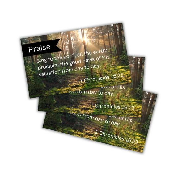 Praise 1 Chronicles 16:23 Wallet Cards 30pk 2x3.5 Church Member Handouts Encouragement Blessing Pocket Sing To The Lord Gift NIV