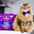 thumbnail image 3 of Stella & Chewy’s Absolutely Rabbit Freeze-Dried Raw Dinner Morsels, 3 of 3