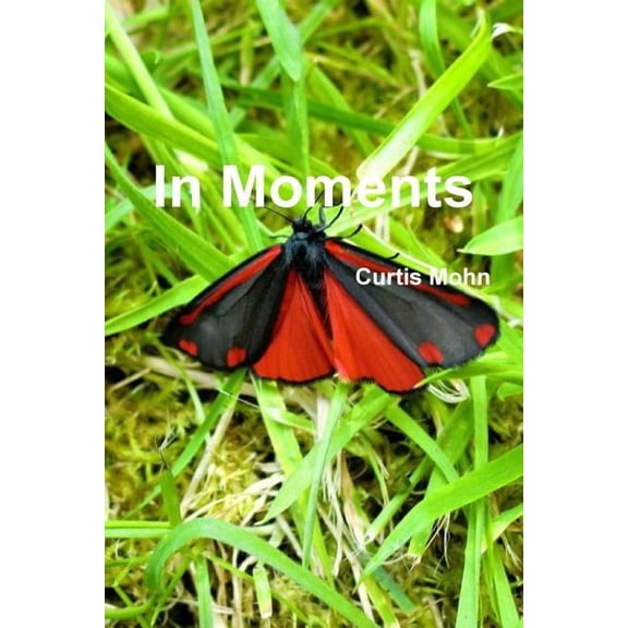In Moments (Paperback)