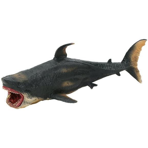 Modelo Educativo De Regalo, Modelo De Tiburones Modelo Raro Animal Plástico, Para Niños Educativos