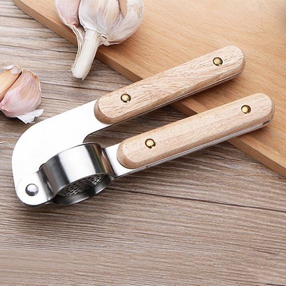 HAMPPLIES Stainless Steel Garlic Press for Cooking, Easy Crushing Kitchen Tool