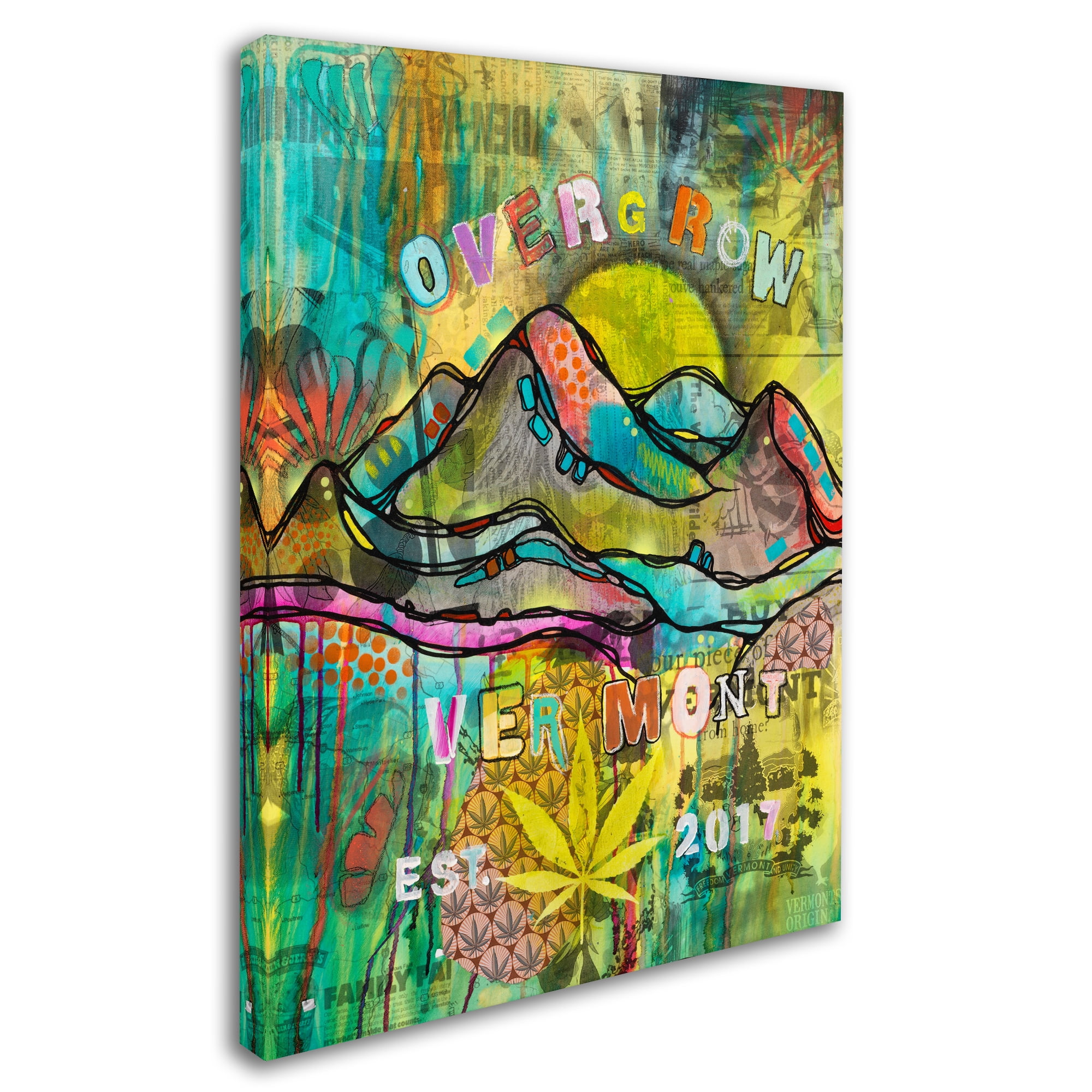 Trademark Fine Art 'Overgrow Vermont' Canvas Art by Dean Russo