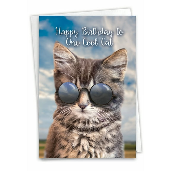 1 Birthday Card with Envelope - Kool Kitties C6891EBDG