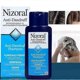 thumbnail image 4 of 2025 Nizoral Anti Dandruff Shampoo With Fresh Scent 7 Fl Oz 200Ml Exp-M, 4 of 5