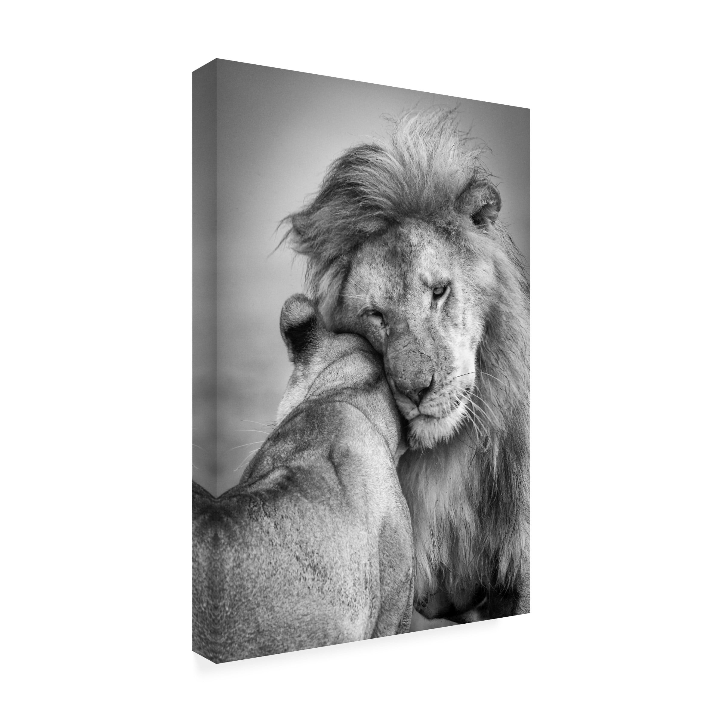 Ali Khataw 'African Love' Canvas Art