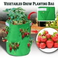 thumbnail image 3 of Sunny Planter Bag Felt Fabric Garden Planting Bag Grow Strawberry and Herb Plant Tub 2 Pack, 3 of 10