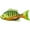 Chartreuse/Orange, variant on LIVETARGET Sunfish 4.3" Swimbait Silver/Blue