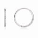 thumbnail image 1 of Chenchen Limerencia Titanium Hoop Earrings for Women,G23 Implant Grade Pure Titanium Lightweight Hoop Earrings for Women Men Sensitive Ears, 1 of 1