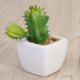 thumbnail image 5 of Maceta suculenta artificial moderna en forma de cubo, verde, minimaceta para decoración de interior y exterior (cactus con espinas), 5 of 5