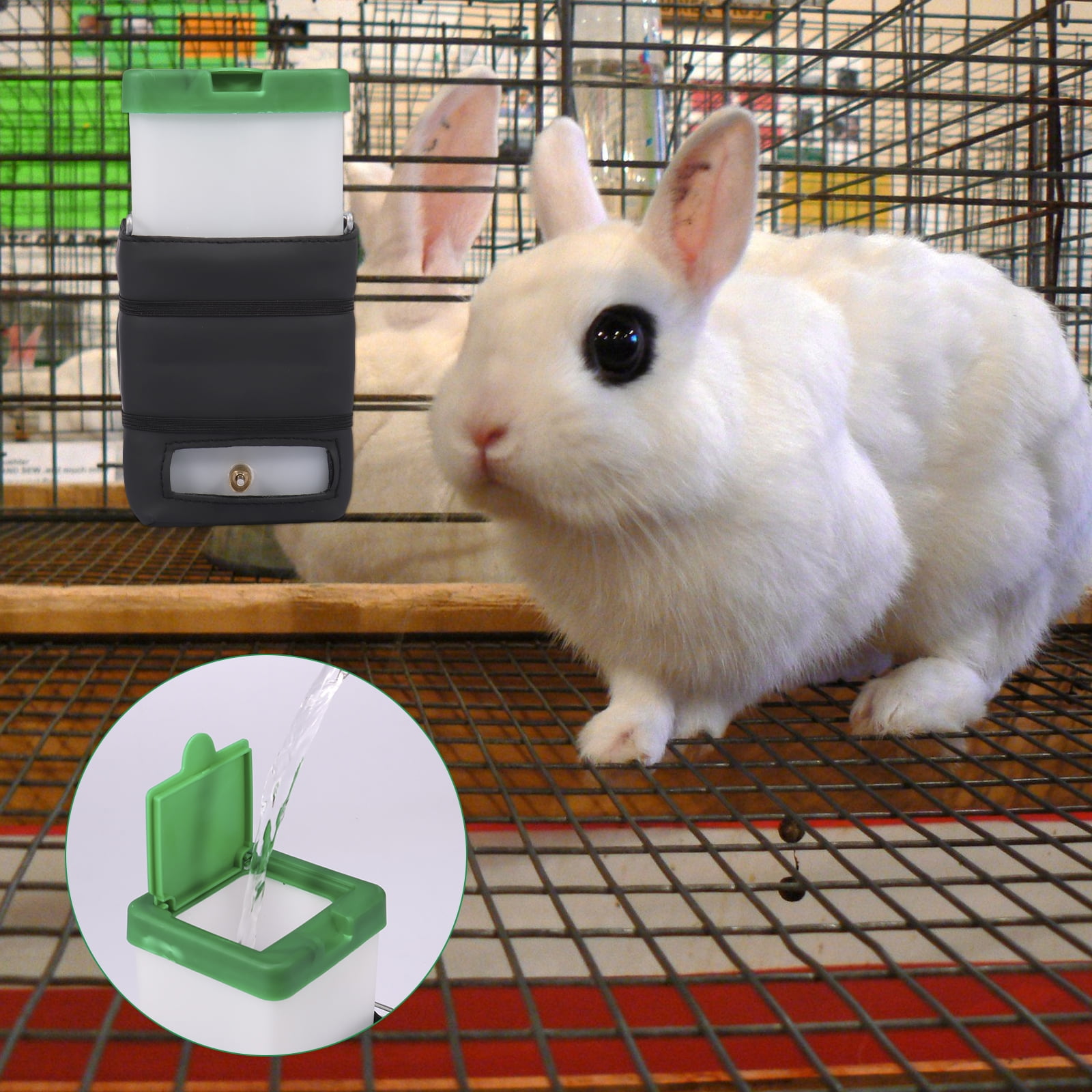 Rabbit water bottle best sale petbarn